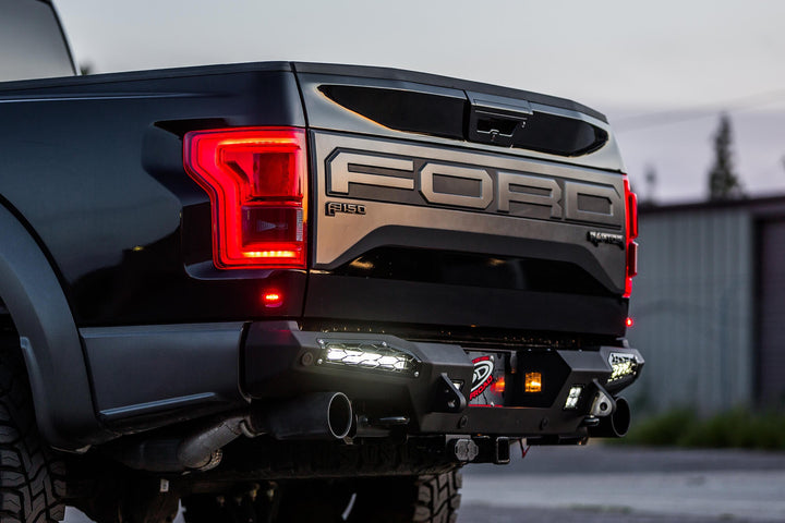 2017 - 2020 Ford Raptor HoneyBadger Rear Bumper
