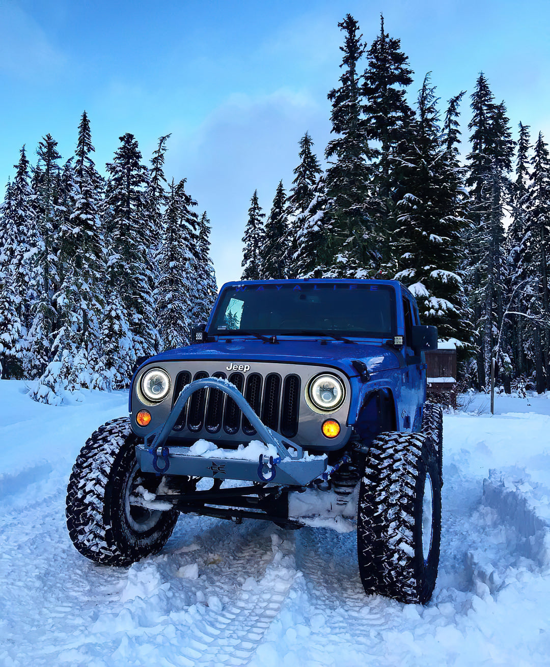 Oracle Lighting 5769-334 7-inch High Powered LED Headlights with Black Bezel and ColorSHIFT Technology
