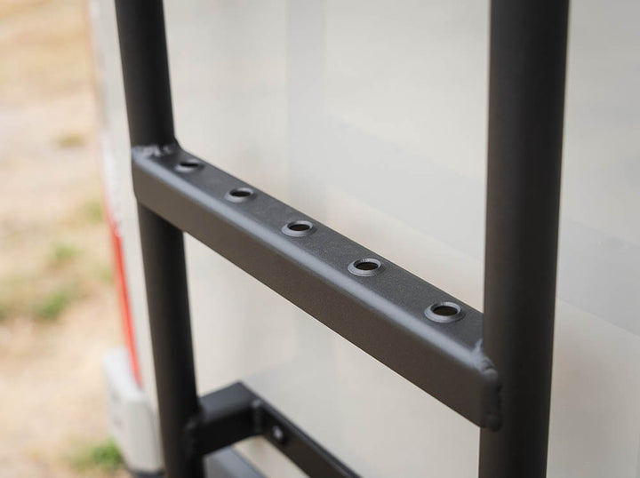Sprinter Van Rear Ladder