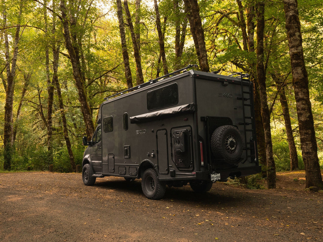 Winnebago Ekko Rear Ladder