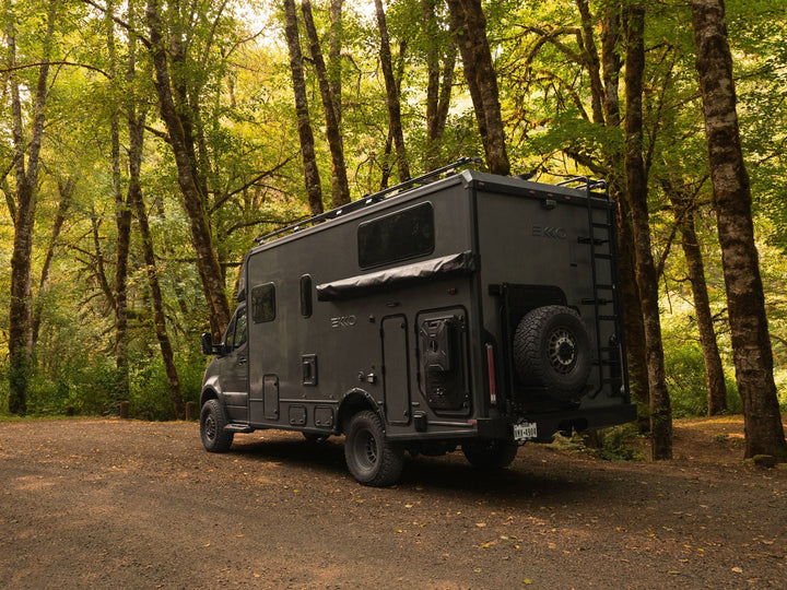 Winnebago Ekko Rear Ladder