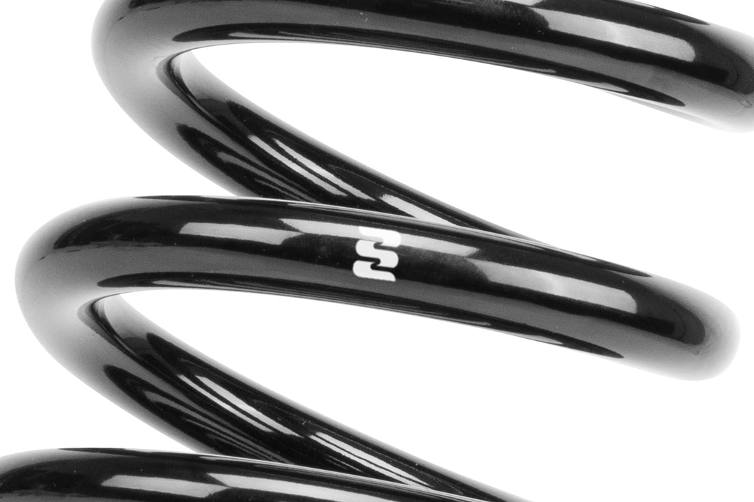 Eibach R10249 Single Rear Spring - OEM-Quality Steel Replacement for Enhanced Vehicle Performance