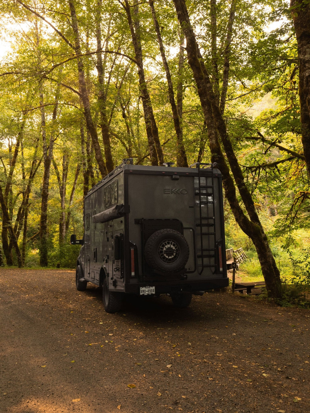 Winnebago Ekko Rear Ladder