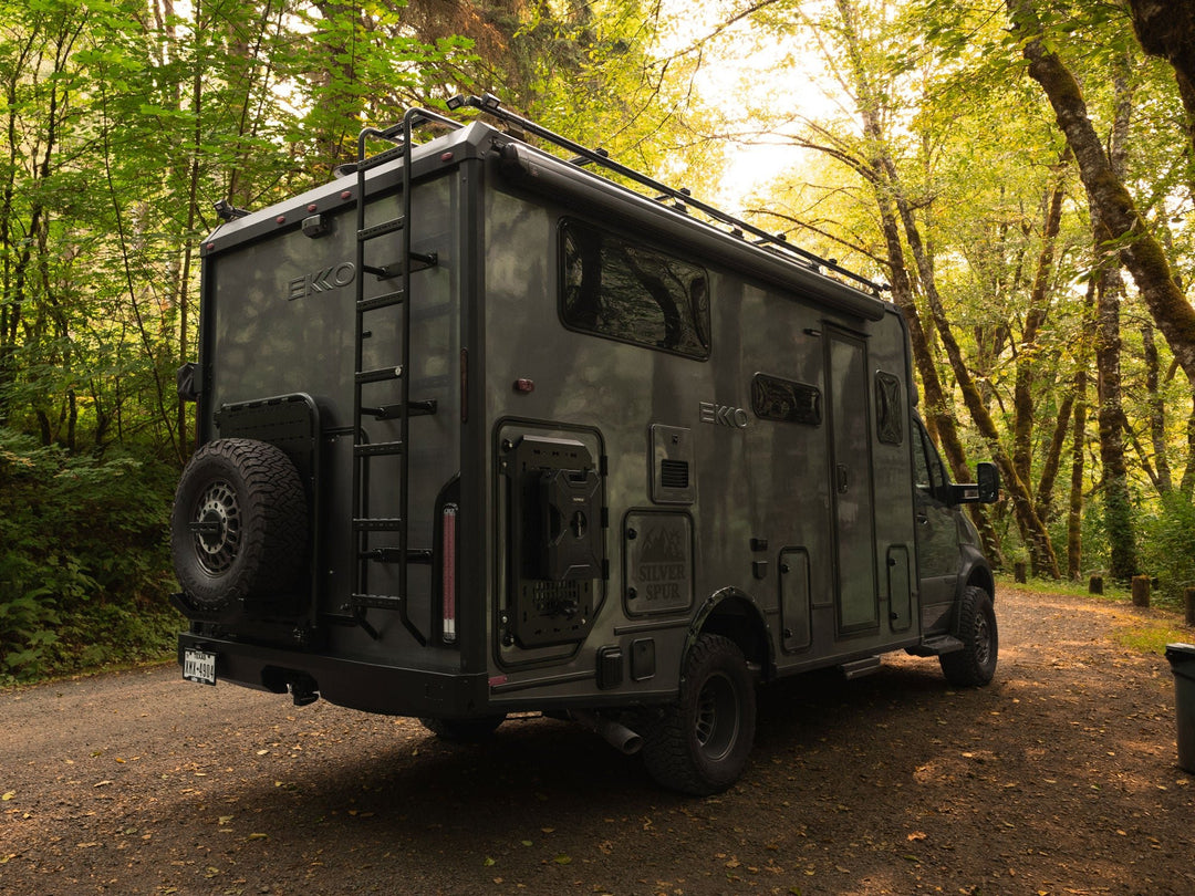 Winnebago Ekko Rear Ladder