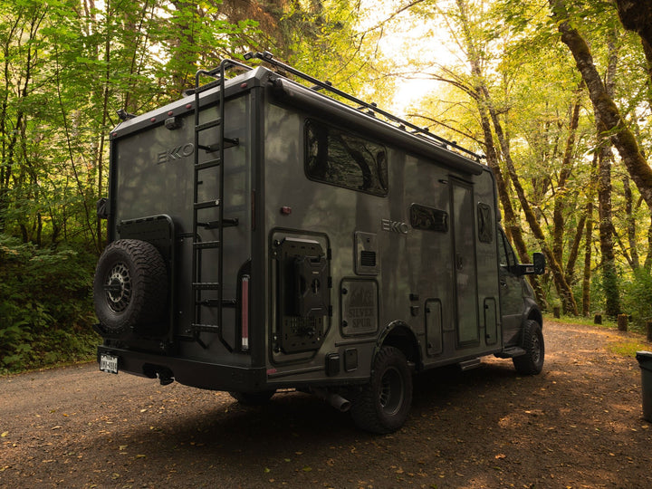 Winnebago Ekko Rear Ladder