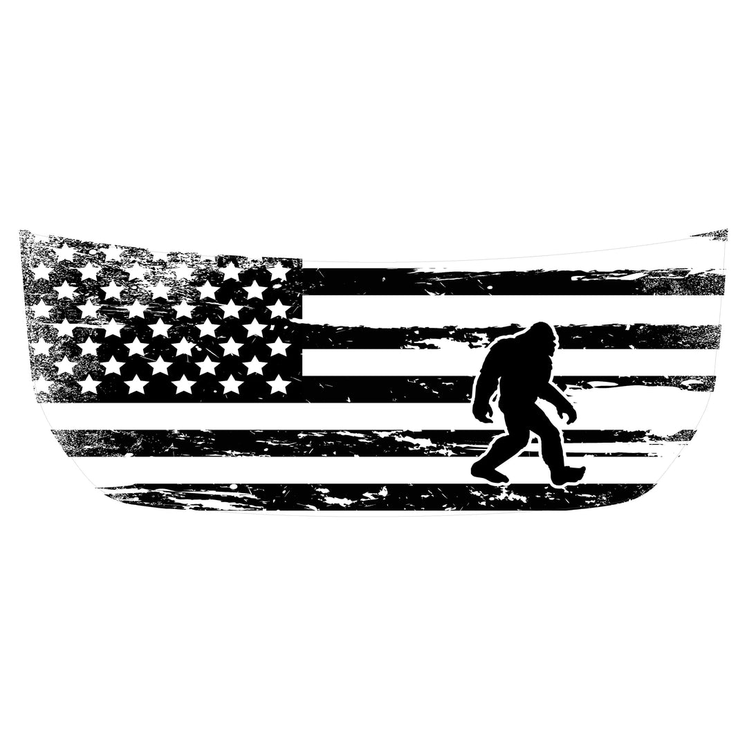 Stealth Clear American Flag Hood Overlay - 2021+ Bronco