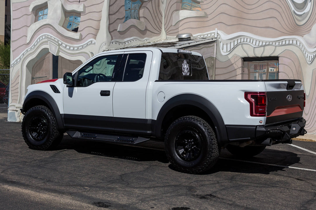 2017 - 2020 Ford Raptor HoneyBadger Rear Bumper