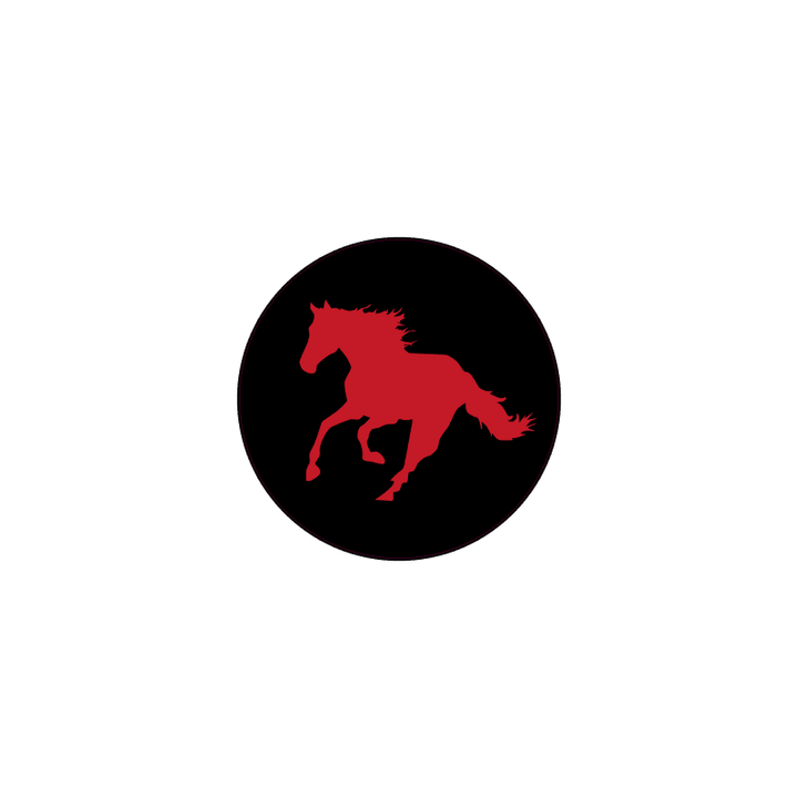Printed Series Wheel Cap Overlays - 2021+ Bronco