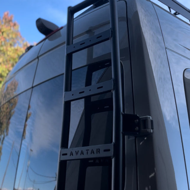 Sprinter Van Rear Ladder